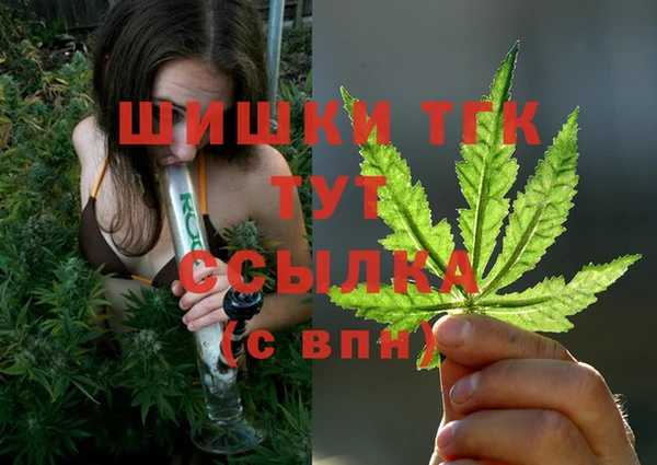 сатива Вязники