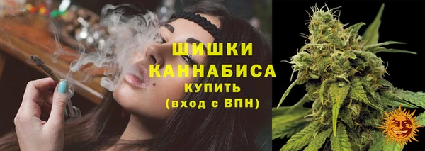 сатива Вязники